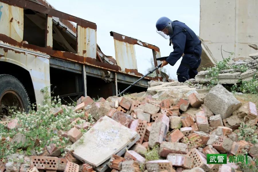 包含极端环境中的生死考验：高温、冰原、沙尘都挡不住车手激情的词条