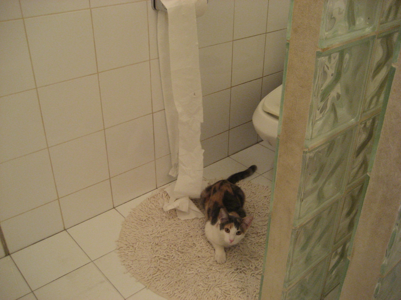 电竞焦点访谈节目获得行业广泛好评,焦点访谈 电竞游戏