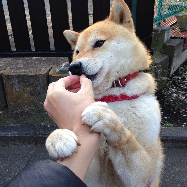 线上线下相结合的青少年篮球赛不断创新，打造全民运动新生态，线上和线下比赛