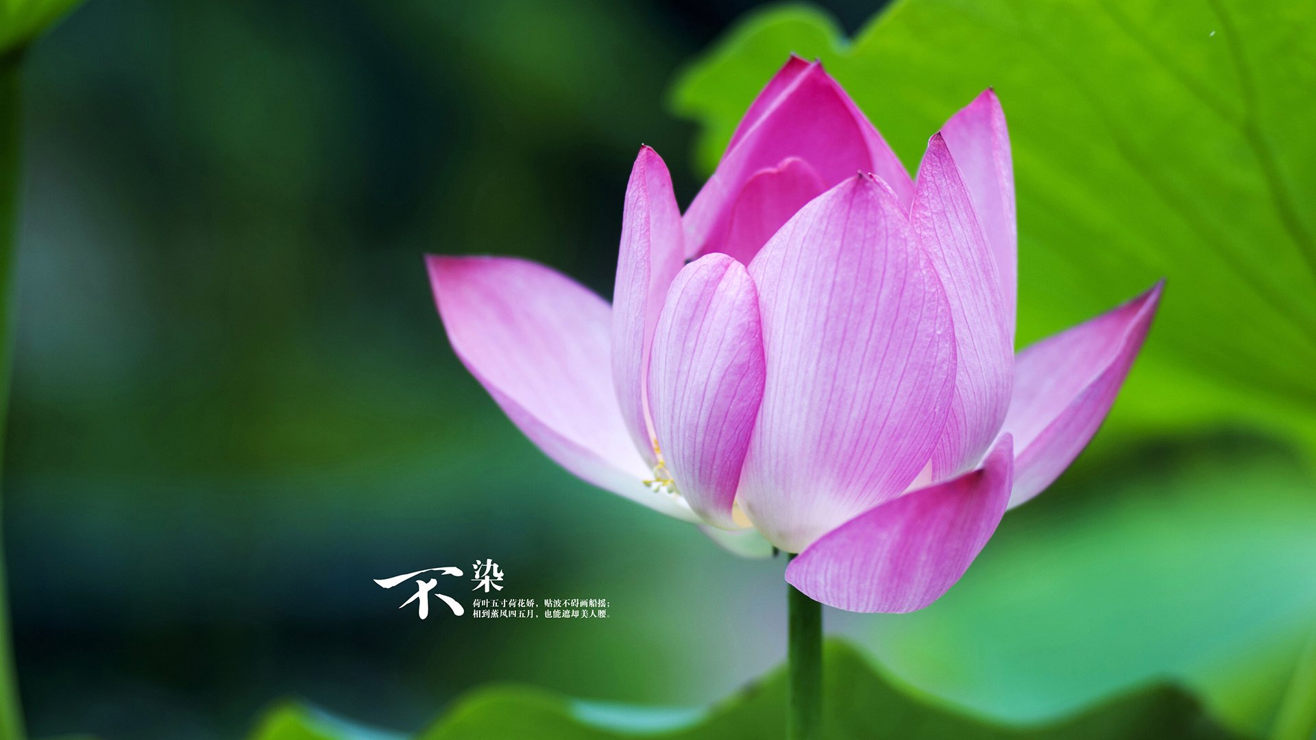 足球入选亚运新增项目推广计划,足球亚运会