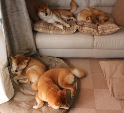 重要中场核心转会消息一览,十大中场组合