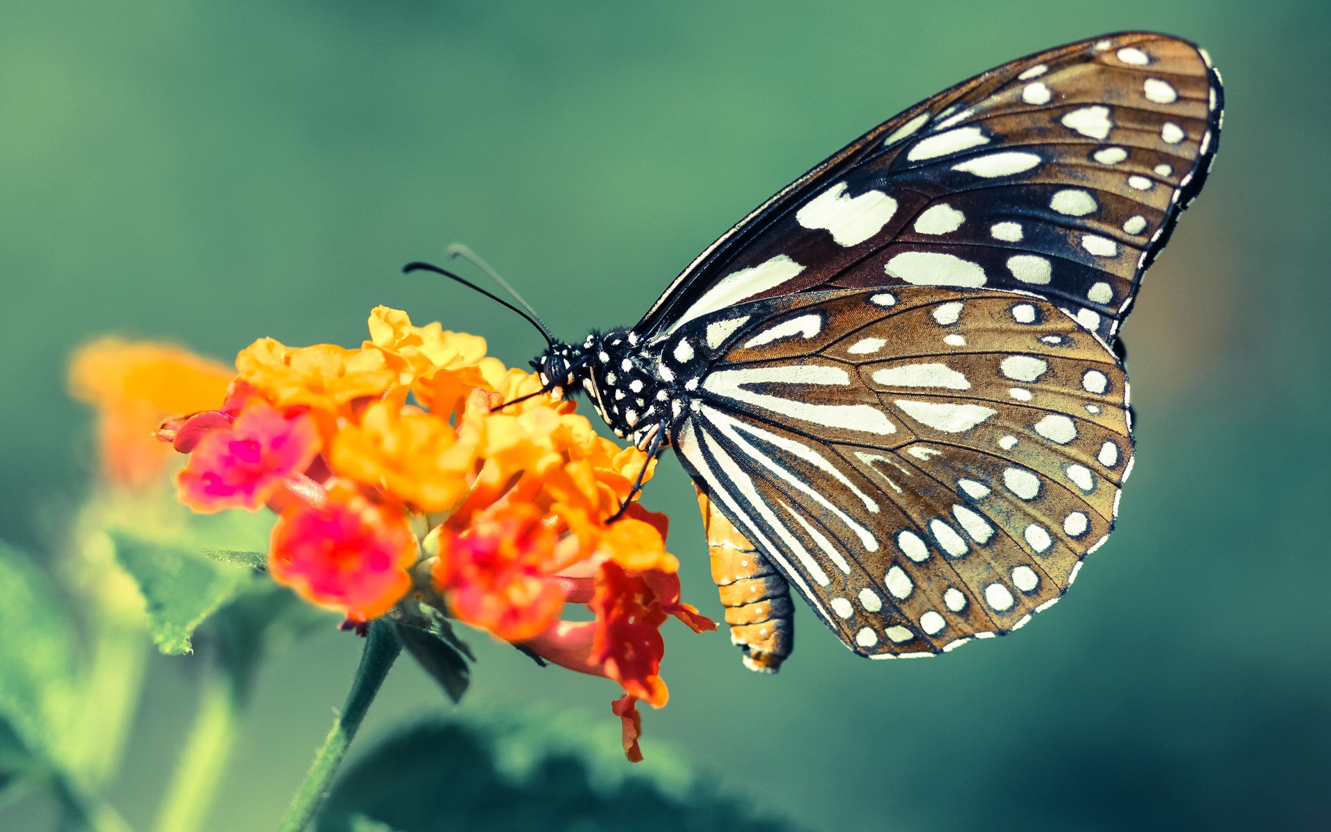 爱游戏体育app-利物浦队员两黄变一红影响球队战绩，利物浦队员两黄变一红影响球队战绩吗