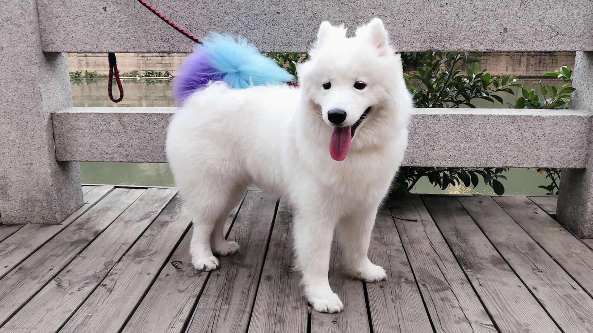 官方羽毛球选手排名更新,最强羽毛球选手