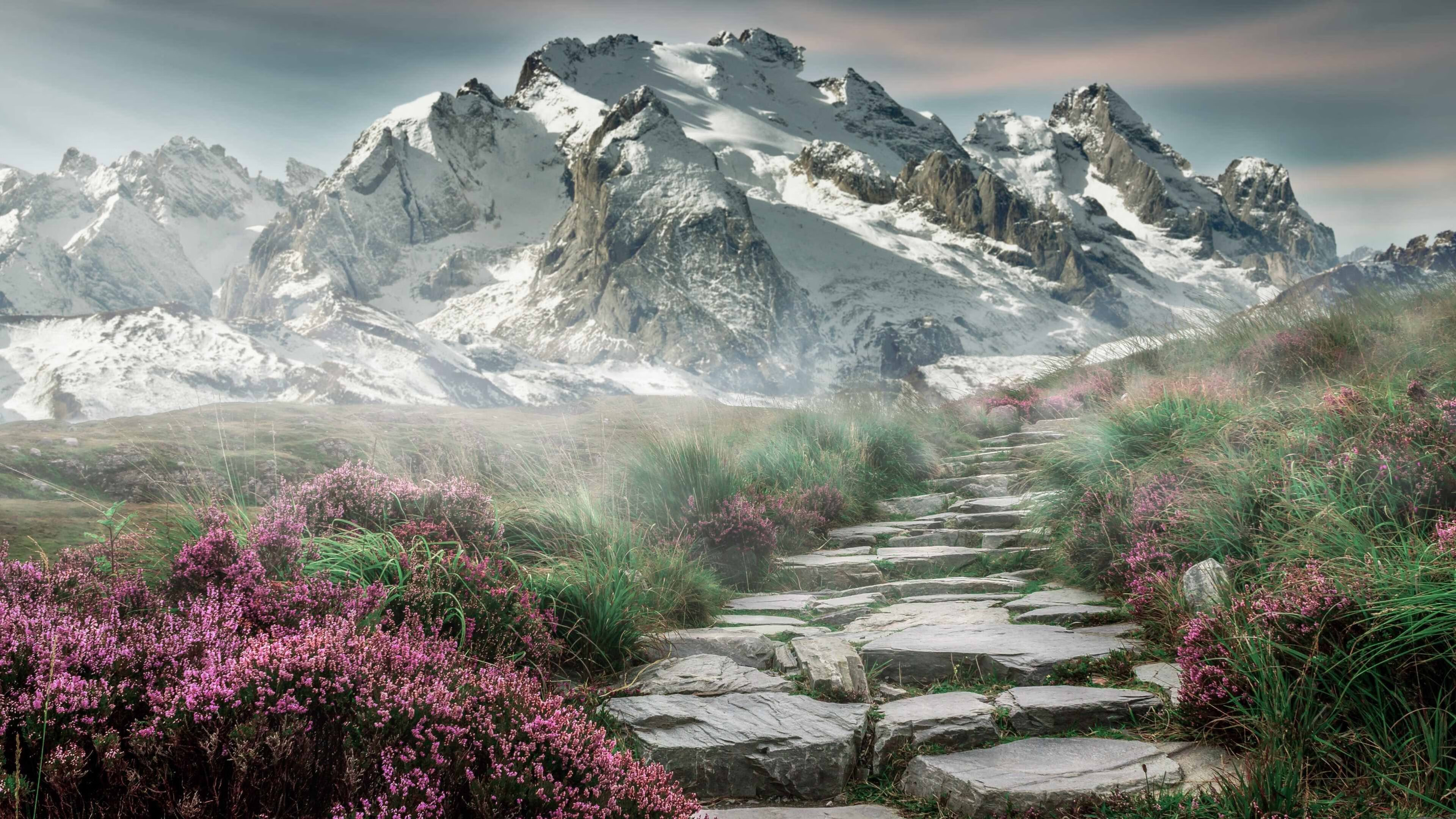 斯图加特球队获胜,士气高昂迎接下一场比赛,斯图加特足球俱乐部百科