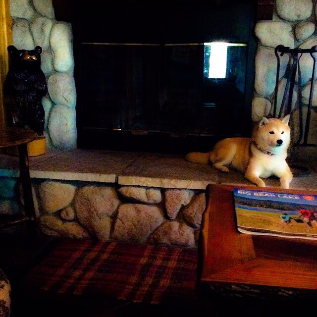 中国篮球运动员进攻技巧优化策略及训练方法,篮球运动中进攻技术主要有哪三种