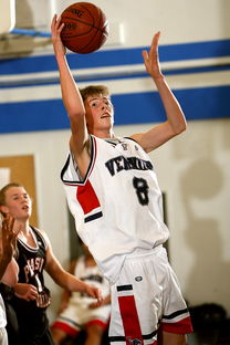 爱游戏体育平台-中国青少年篮球推广中的社会支持系统建设，我国青少年篮球训练现状