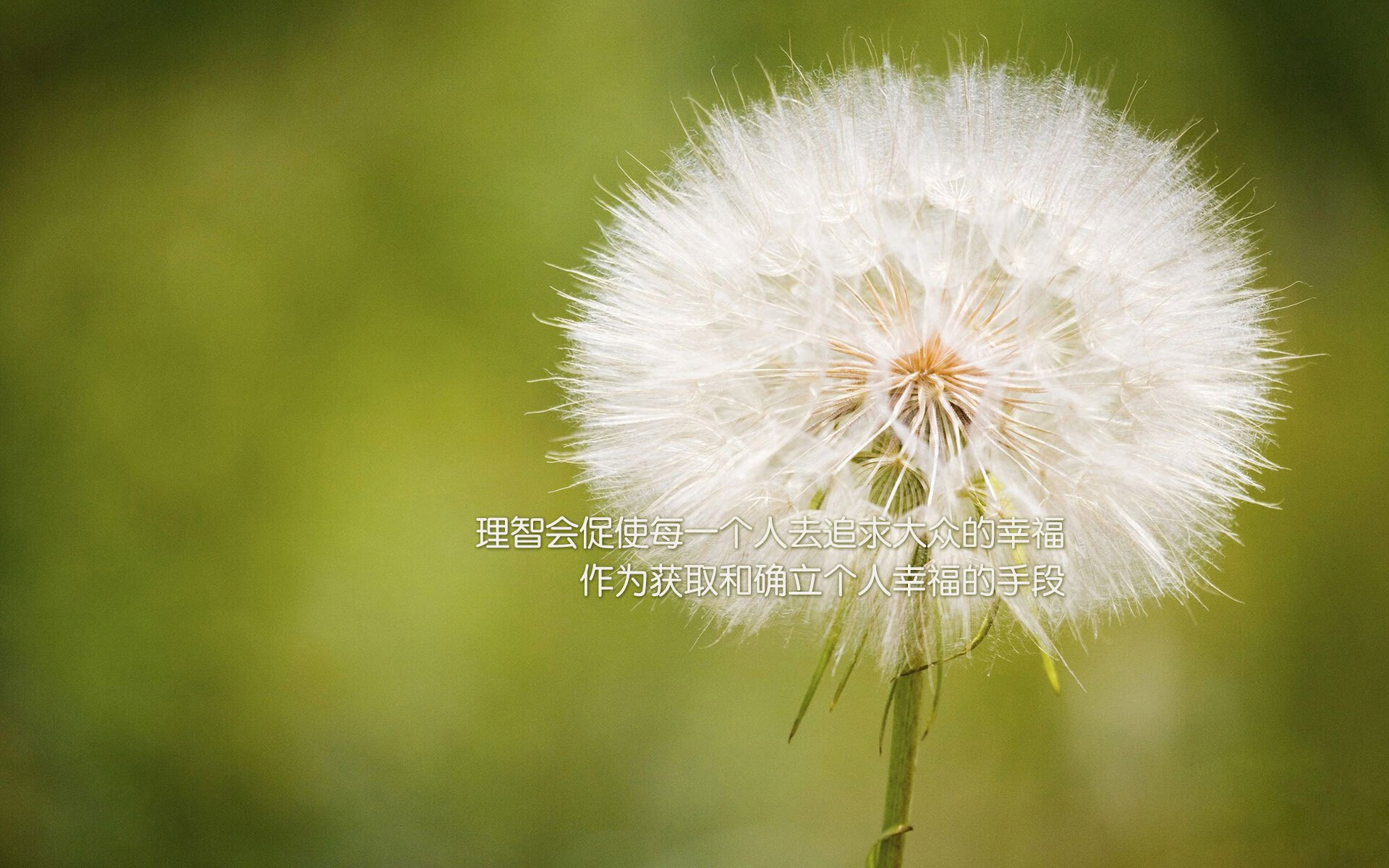 世界杯预选赛中国队晋级 球迷士气大振，世界杯预选赛中国队晋级了吗