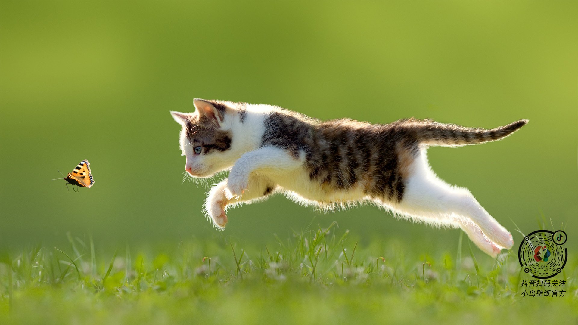 个别选手划水节奏接近国际顶级水平,划水选手是什么意思