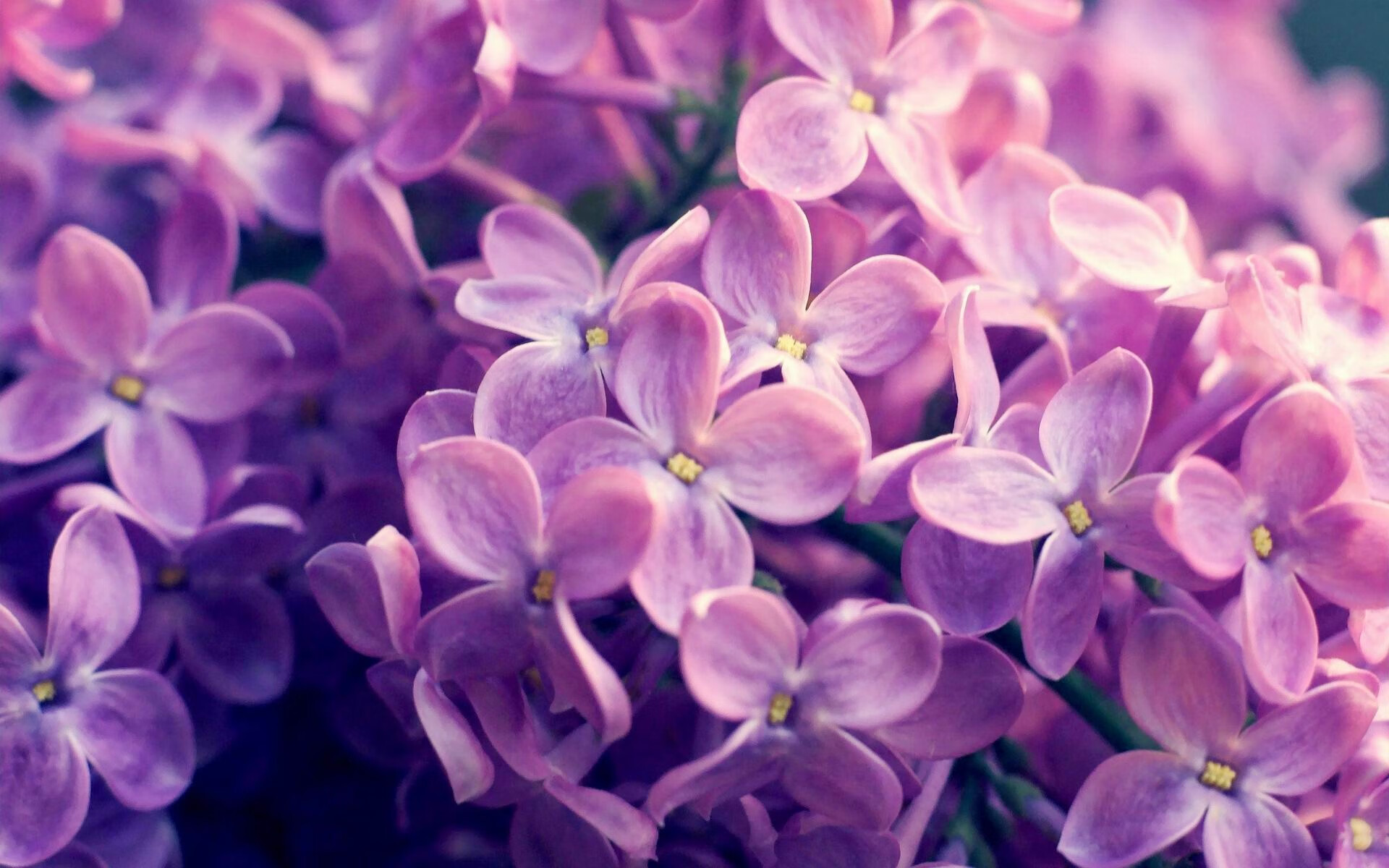 AYX SPORTS-博卡边锋冲击力强，但射门欠准，博卡的主场是哪个球场