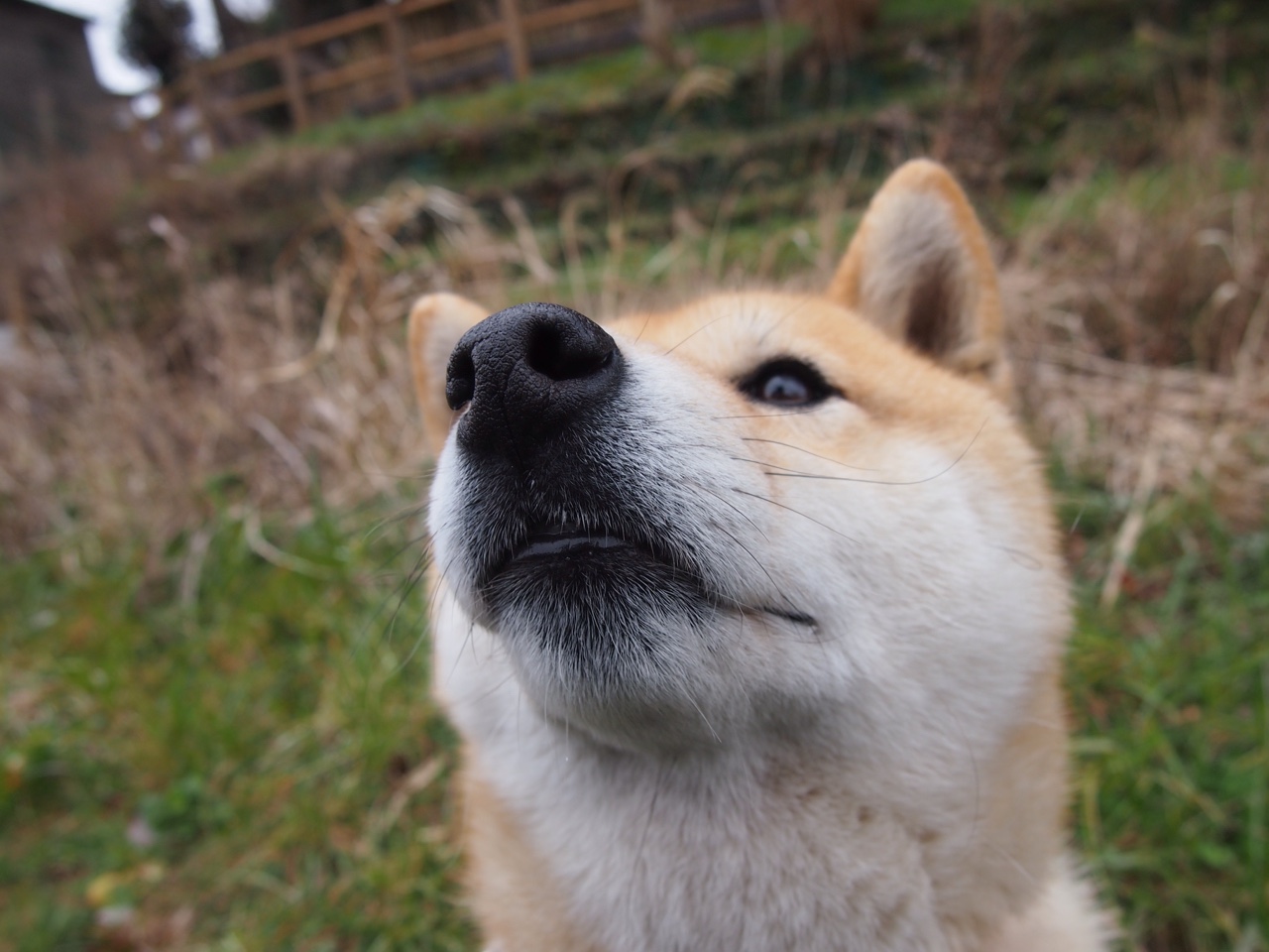 节奏选择是否应以得分爆发时间点为中心，节奏型的出现一定要遵循